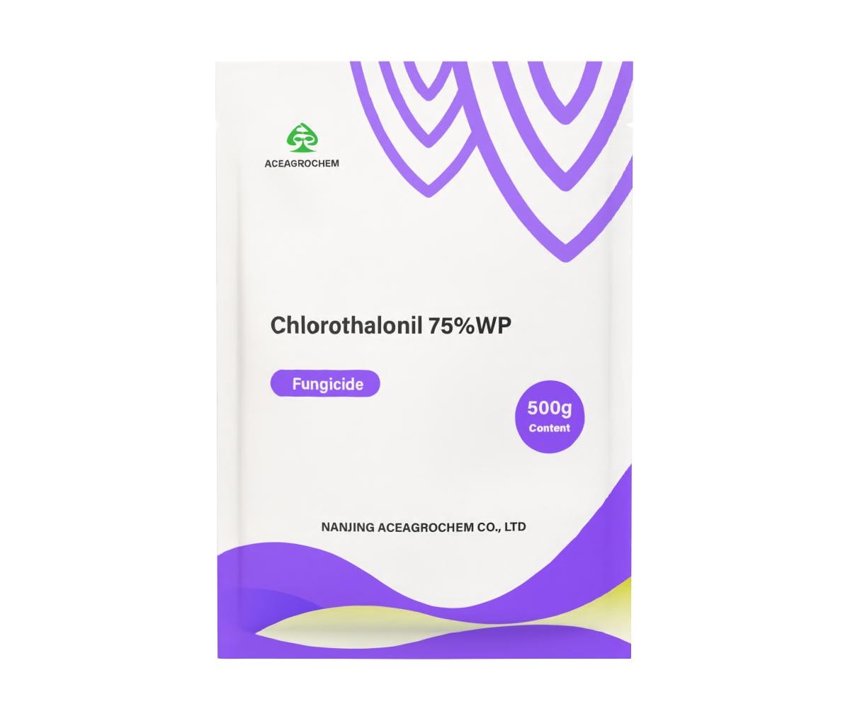 Chlorothalonil 75% WP